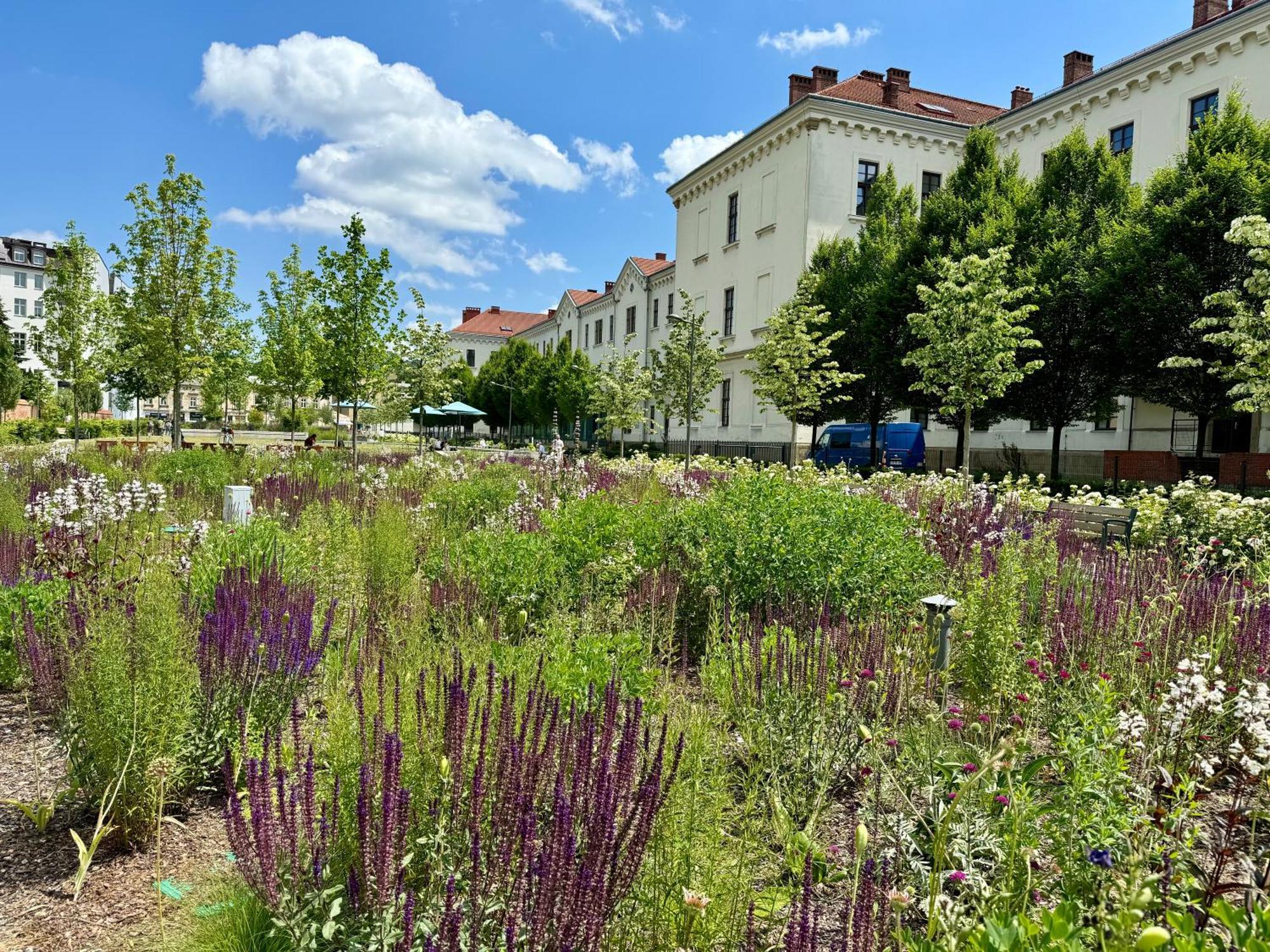 Gio Apartments, Luxury, Old Town Cracow Krakow Luaran gambar